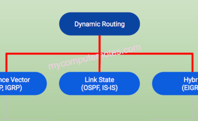 dynamic routing and its types