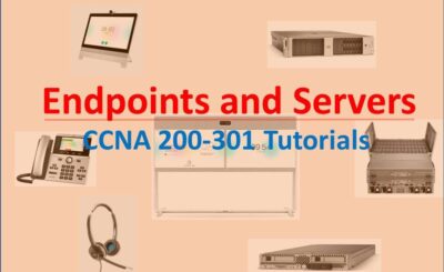 cisco endpoints and servers