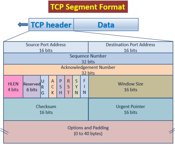 compare tcp and udp protocols- tcp header
