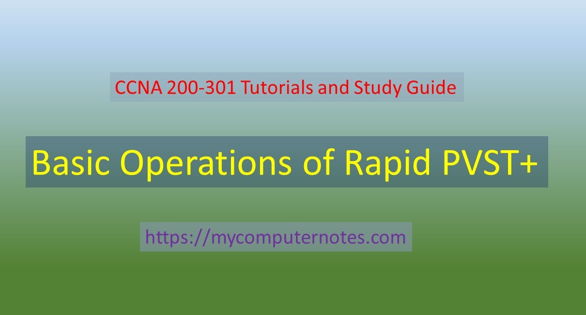 basic operations of rapid pvst+