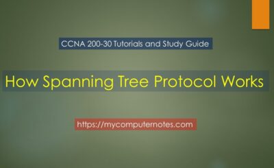 how spanning tree protocol works