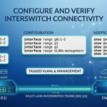 configure and verify inter switch connectivity